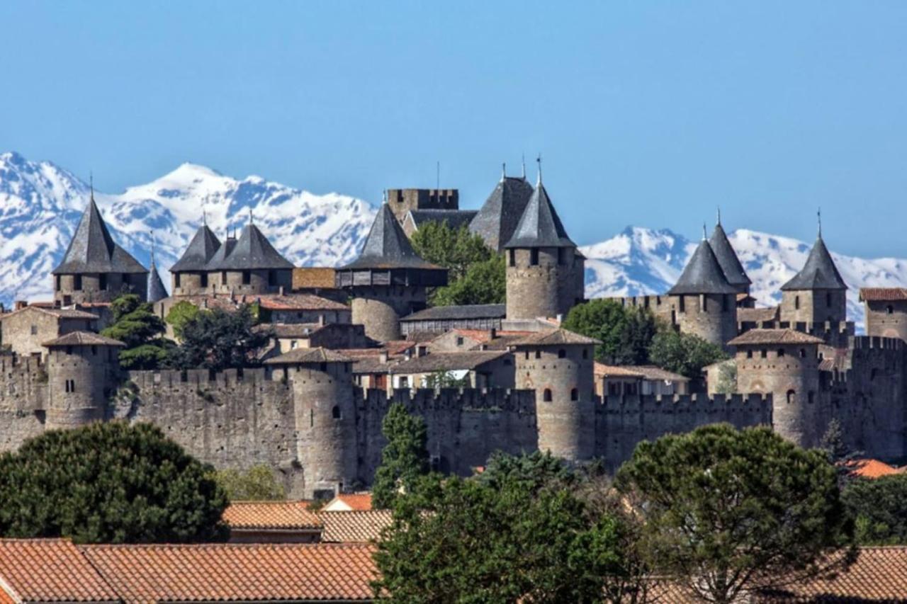 Appartement Proche Cite Medievale Et Centre Ville - Parking Prive Carcassonne Buitenkant foto